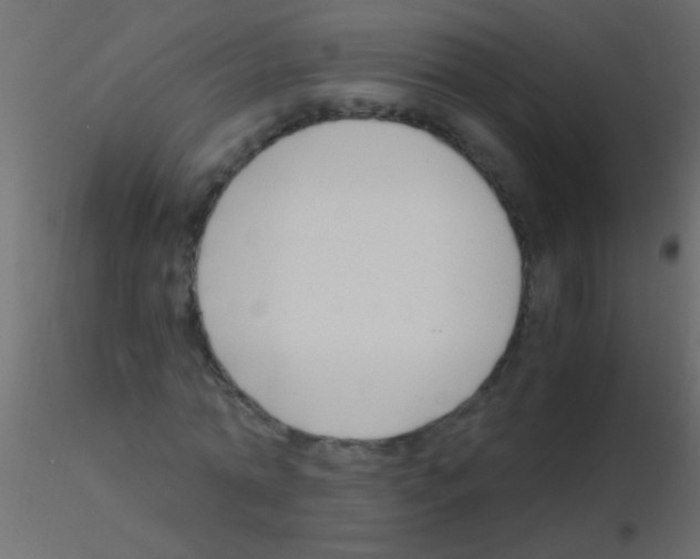 X0000115820774200912241934