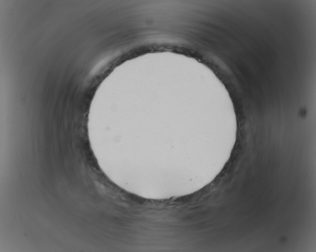 X0000115820775200912241934