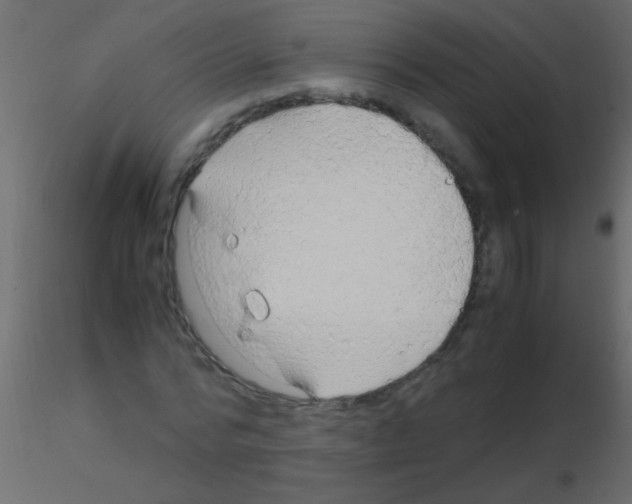 X0000115820776200912241934