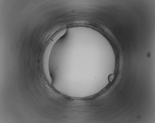 X0000115820777200912241934