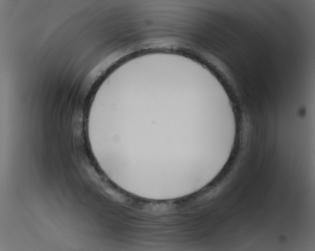 X0000115820778200912241934