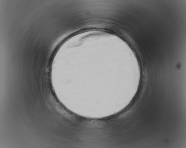 X0000115820779200912241934