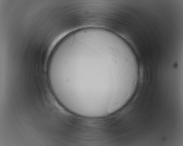 X0000115820780200912241934