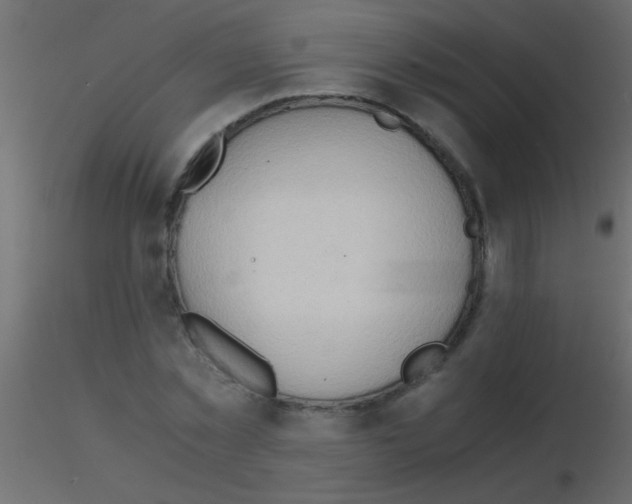 X0000115820781200912241934