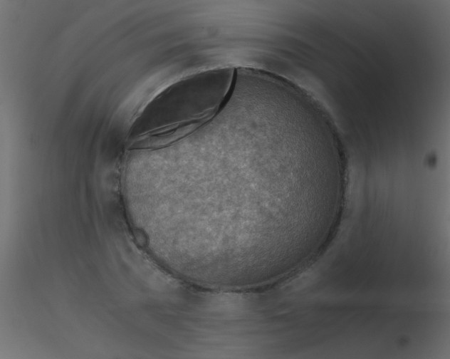 X0000115820785200912241934