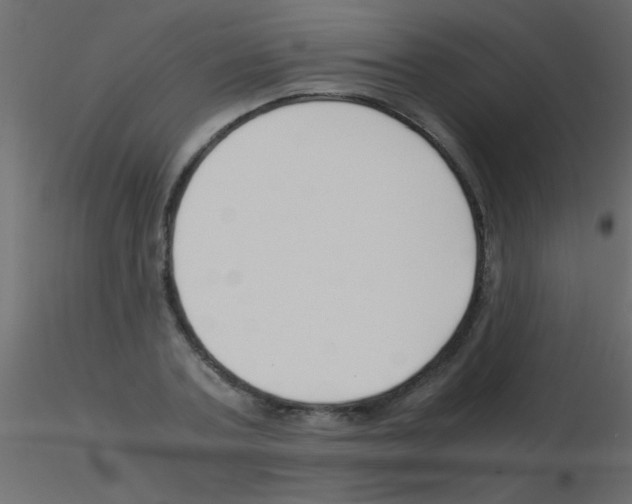 X0000115820787200912241934