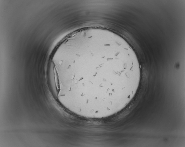 X0000115820788200912241934