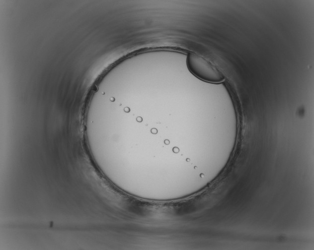 X0000115820789200912241934