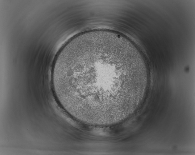 X0000115820790200912241934