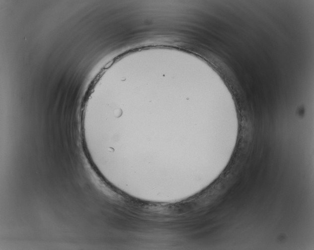 X0000115820792200912241934