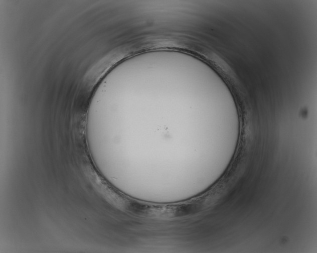 X0000115820793200912241934