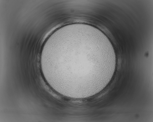 X0000115820798200912241934