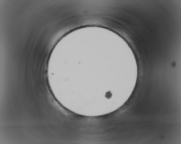 X0000115820799200912241934