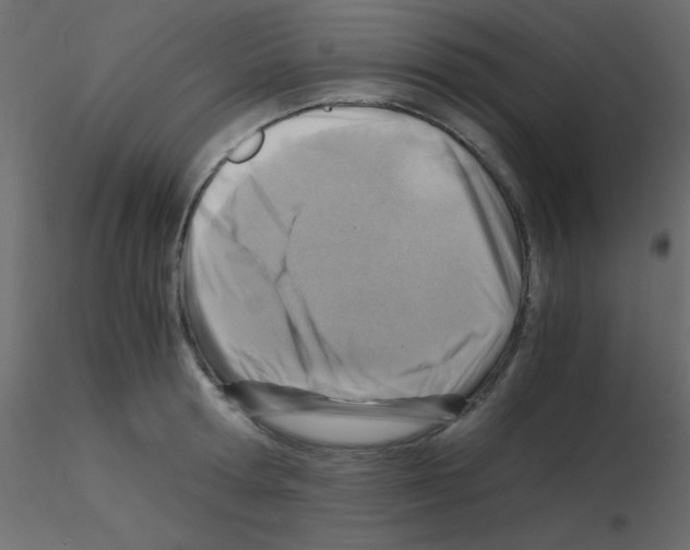 X0000115820802200912241934