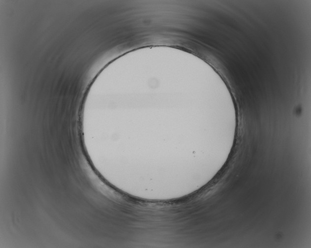 X0000115820803200912241934