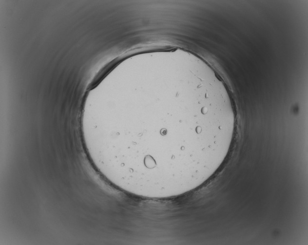 X0000115820805200912241934