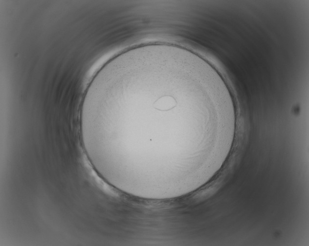 X0000115820807200912241934