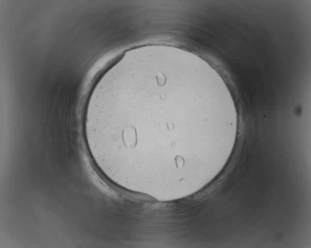 X0000115820808200912241934