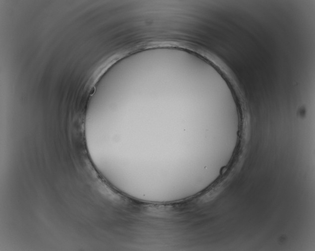 X0000115820809200912241934