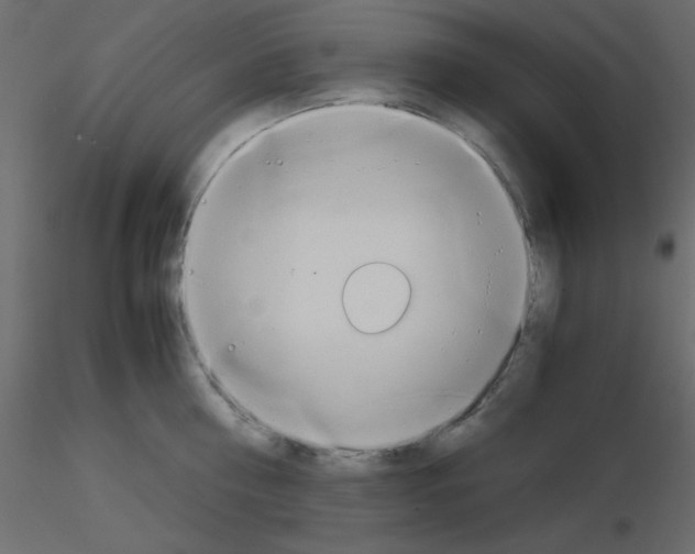 X0000115820810200912241934