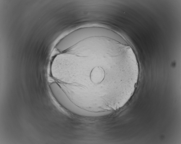 X0000115820813200912241934