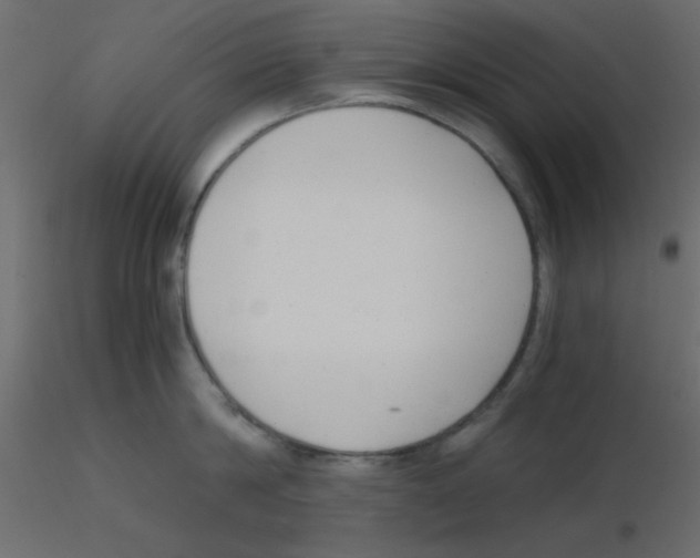 X0000115820814200912241934