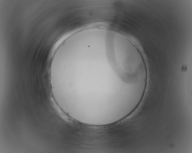 X0000115820816200912241933