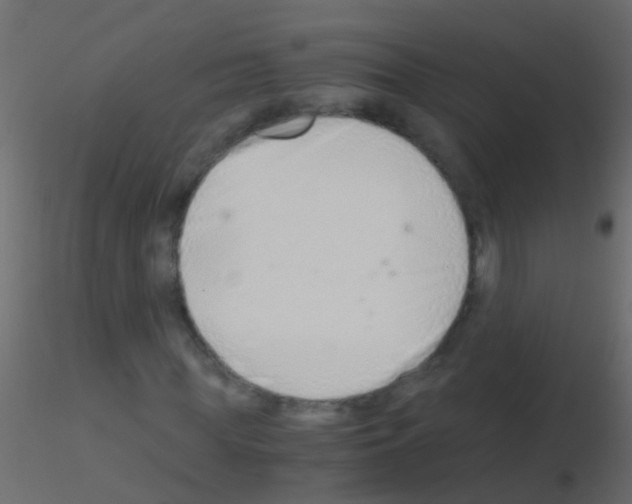 X0000115820819200912241933