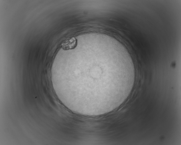 X0000115820820200912241933