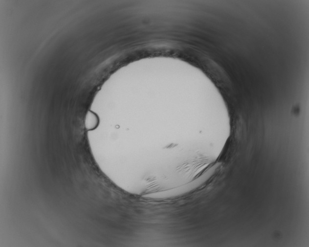 X0000115820821200912241933