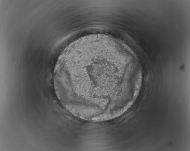 X0000115820822200912241933