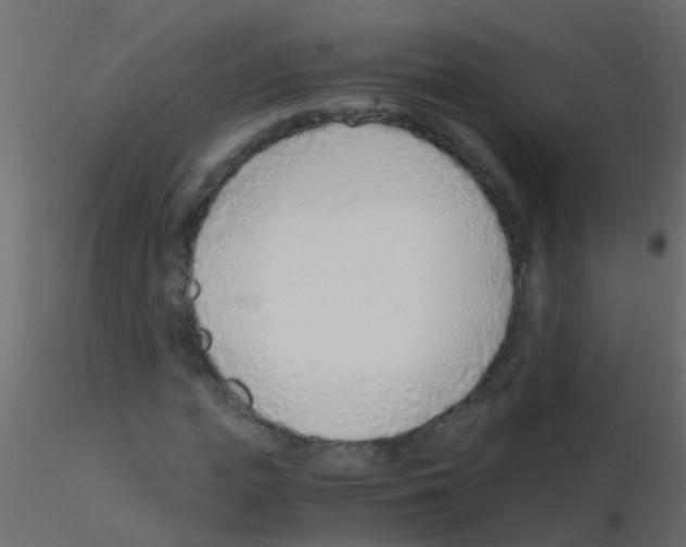 X0000115820823200912241933