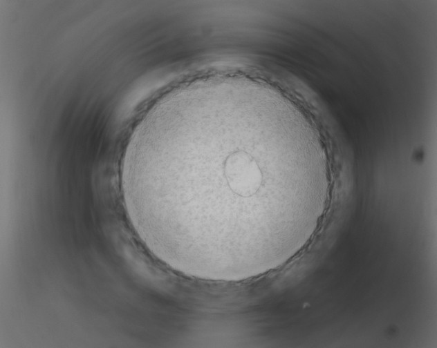 X0000115820824200912241933