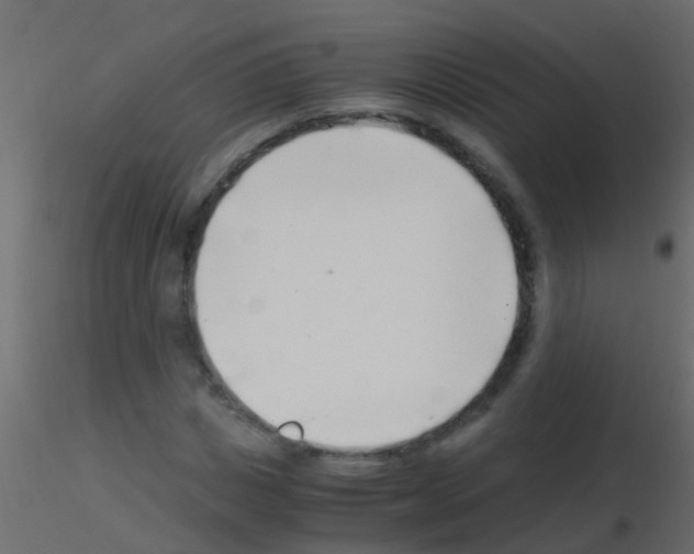 X0000115820825200912241933