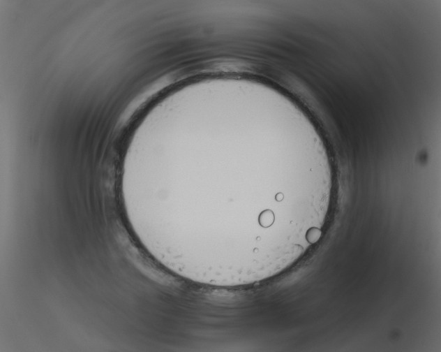 X0000115820827200912241933