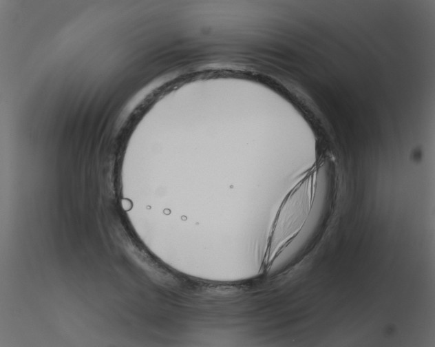 X0000115820830200912241933