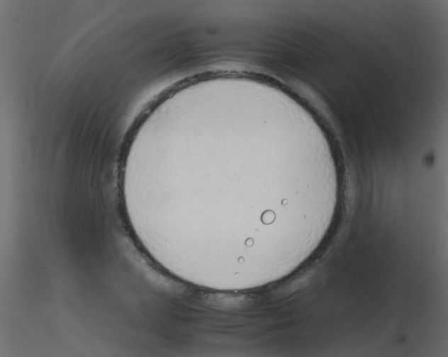 X0000115820831200912241933