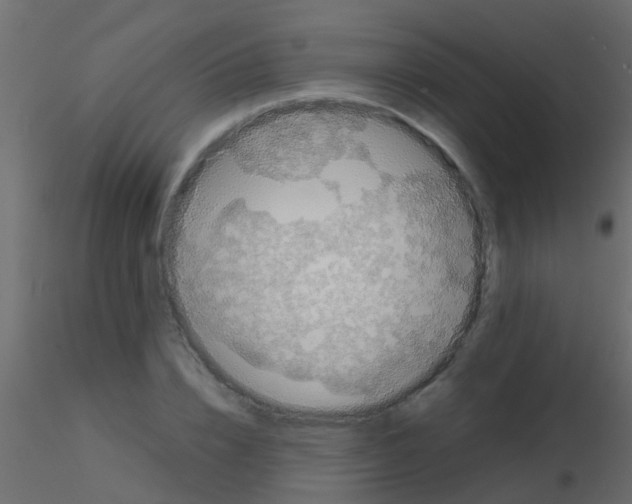 X0000115820832200912241933