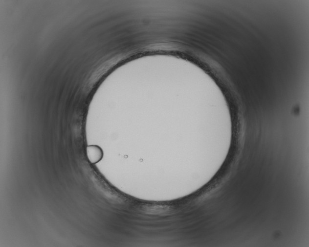 X0000115820833200912241933