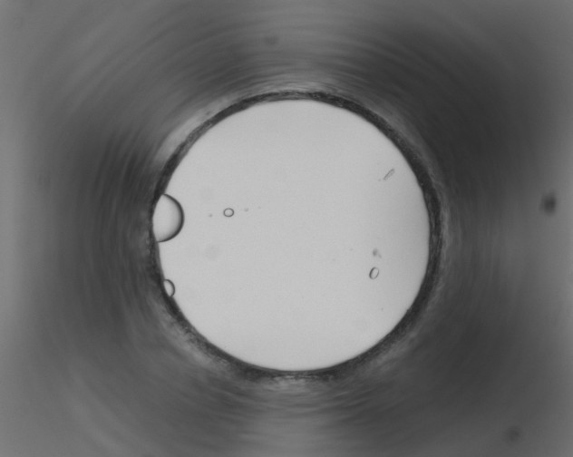 X0000115820834200912241933