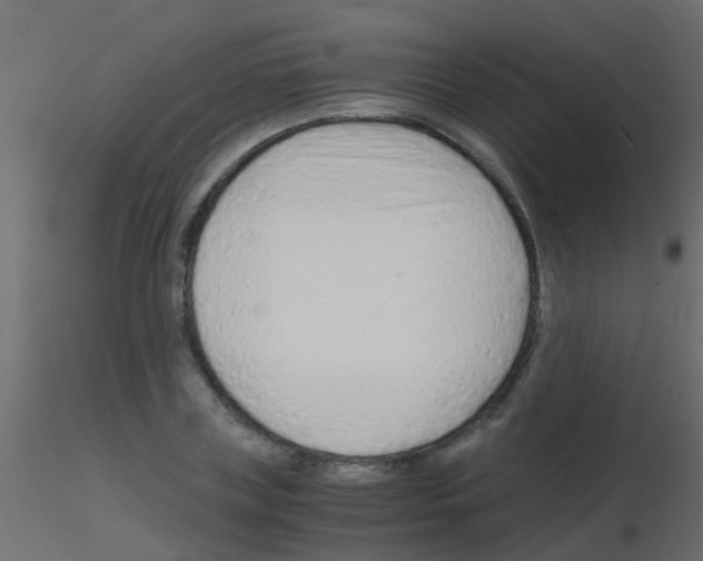 X0000115820835200912241933