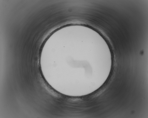 X0000115820837200912241933