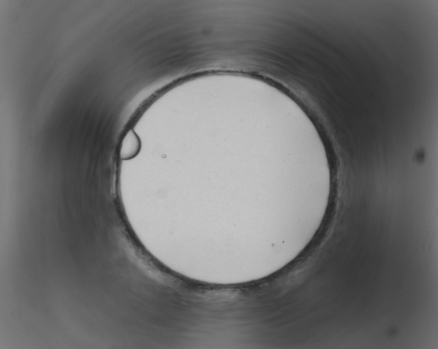 X0000115820838200912241933