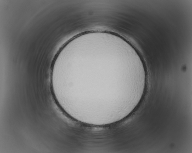 X0000115820839200912241933