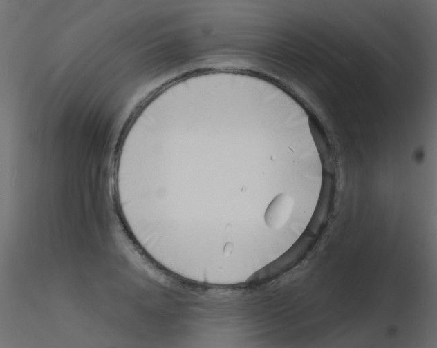 X0000115820840200912241933