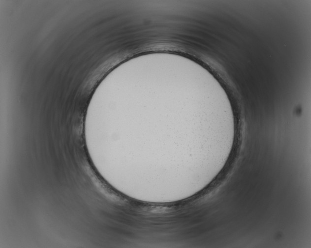 X0000115820841200912241933