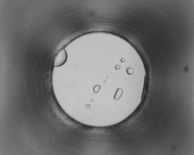 X0000115820842200912241933