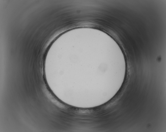 X0000115820843200912241933