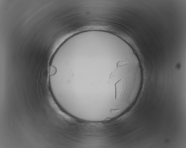 X0000115820844200912241933