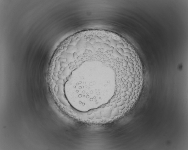 X0000115820848200912241933